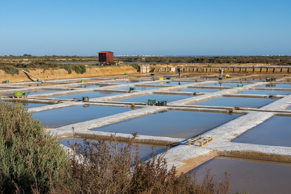 Komentované prohlídky tradičních solných polí, Algarve